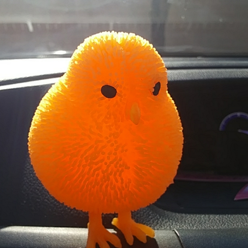 Rubber chicken